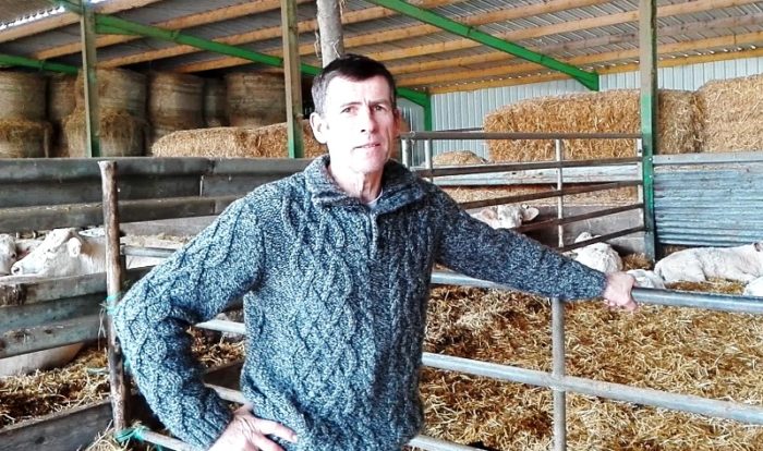 Colis de viande direct producteur à vendre en ligne en Vendée