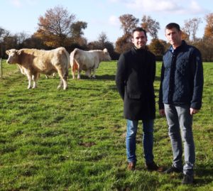 Éric et Antoine Pineau dans un pré avec des bovins