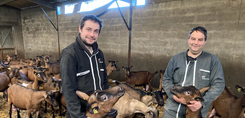 Découvrez un duo d'éleveurs de chevreaux en Maine-et-Loire